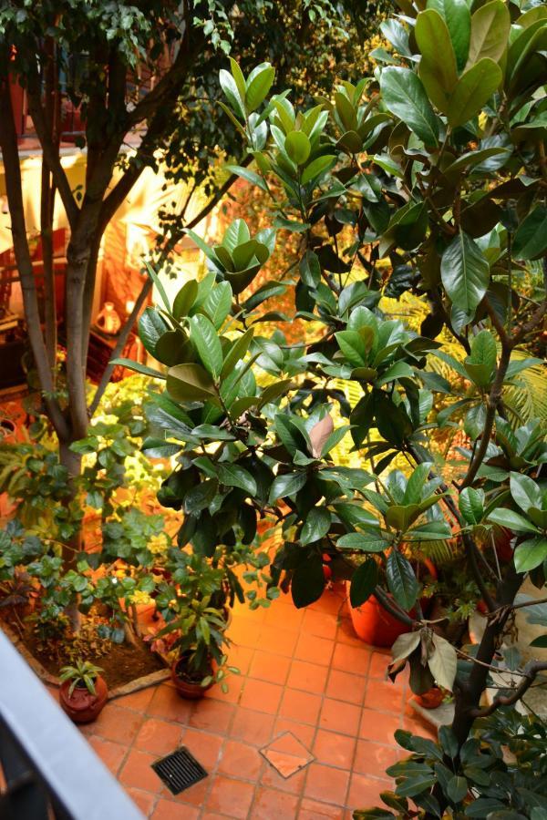 Hotel Casa Guiva Oaxaca Dış mekan fotoğraf