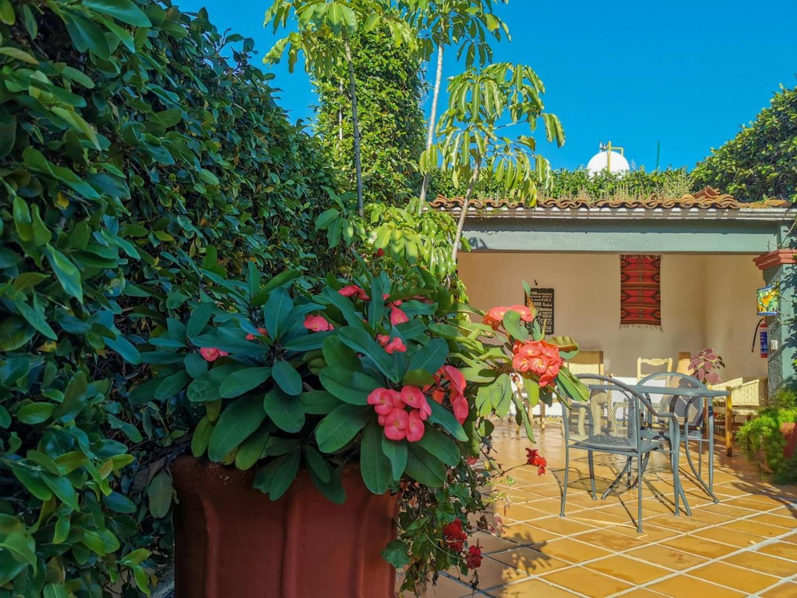 Hotel Casa Guiva Oaxaca Dış mekan fotoğraf