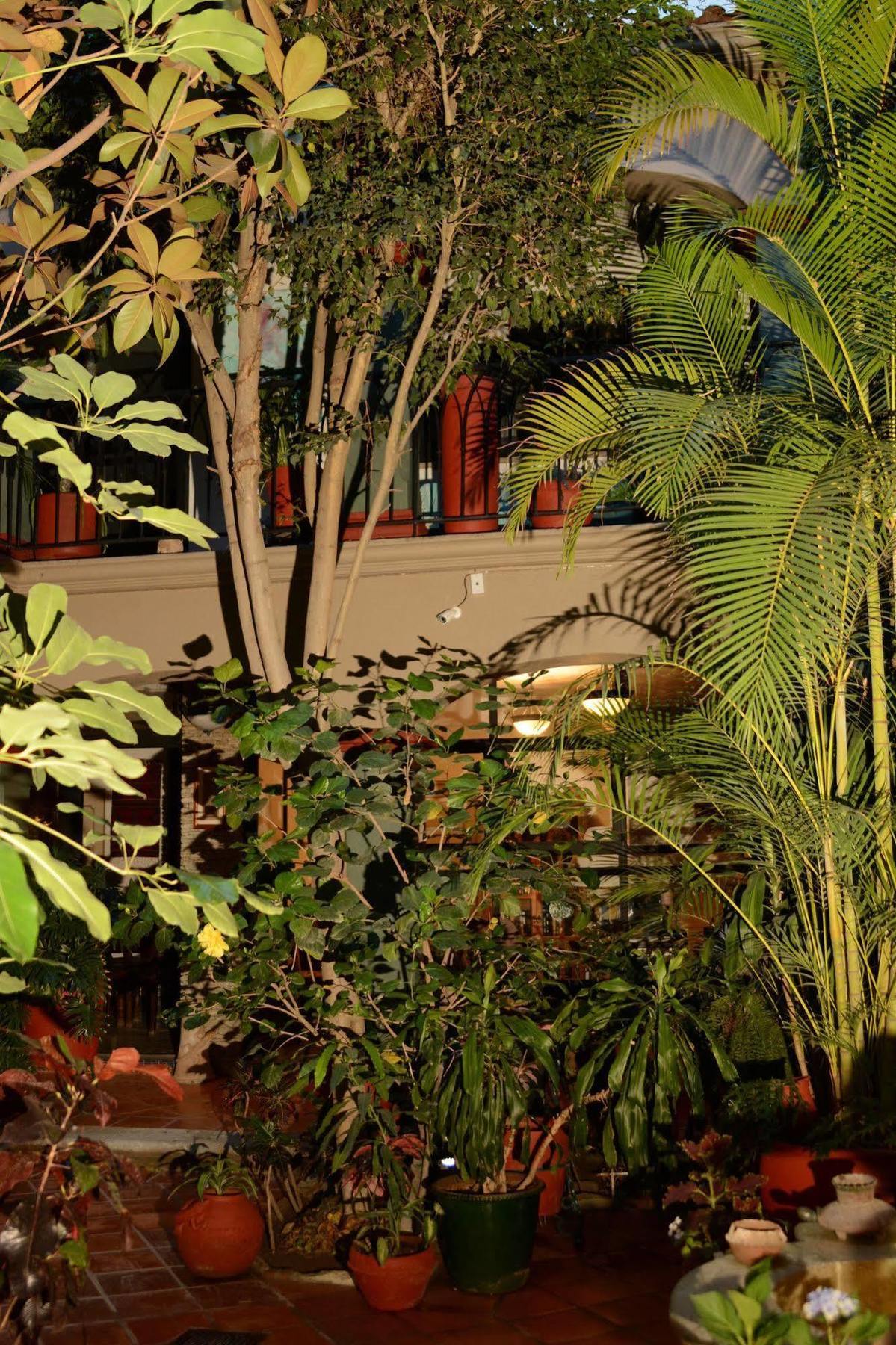 Hotel Casa Guiva Oaxaca Dış mekan fotoğraf